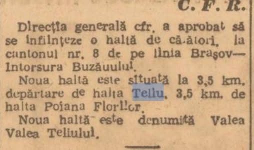 O Noutate Feroviară în 1945: Inființarea Halei de Călători 'Valea Teliului'