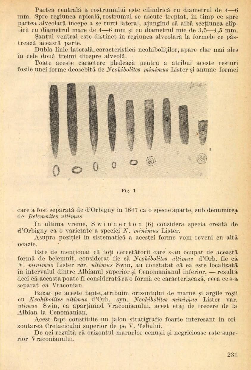 Dragi prieteni, — fotografia 3
