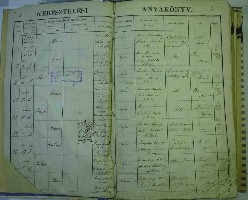 O nouă descoperire istorică: Registrul botezaților, cununaților și morților din comunitatea reformată-calvină din Teliu (1877-1901)! — fotografia 2